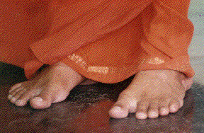http://www.sathyasai.org/images/feet.gif