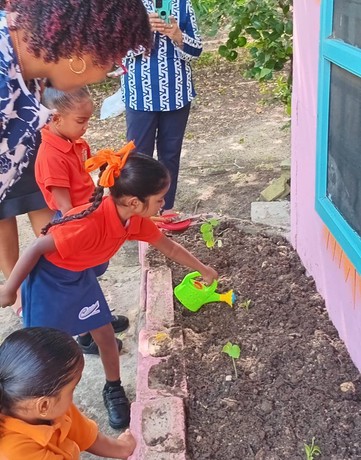 Trinidad Gardening