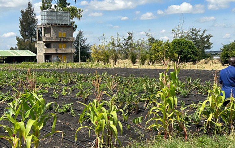 Zone 9 Kisaju 1