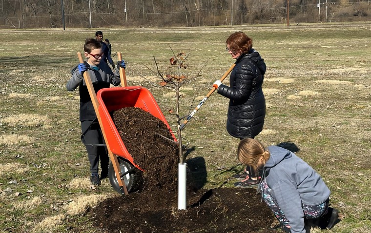 Usa R4 Tree Mulching 01