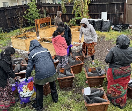 Usa R7 Gardening 01