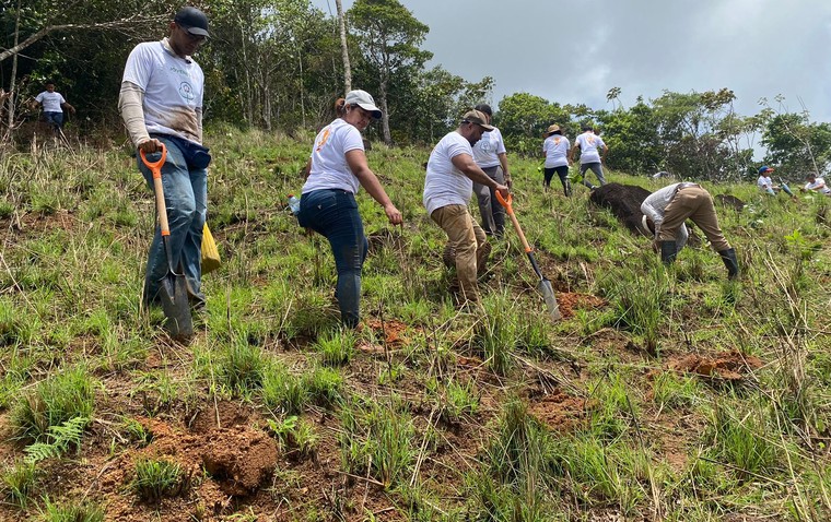 Dr Tree Planting 02