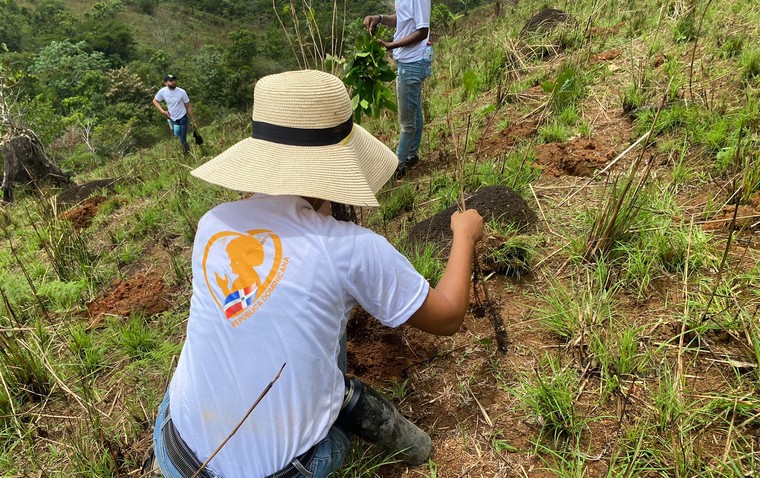 Dr Tree Planting 03
