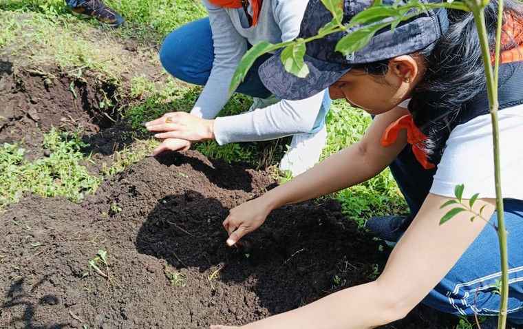 Mexico Tree Planting 01