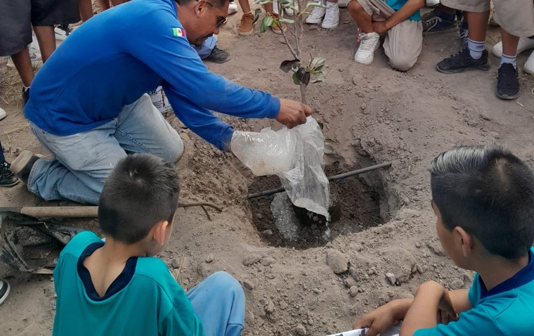 Mexico Tree Planting 02
