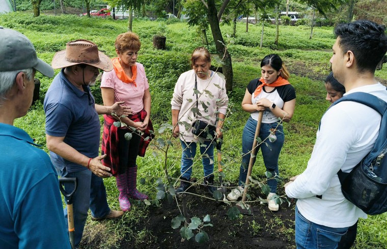 Mexico Tree Planting 03