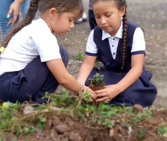 Venezuela Go Green 02