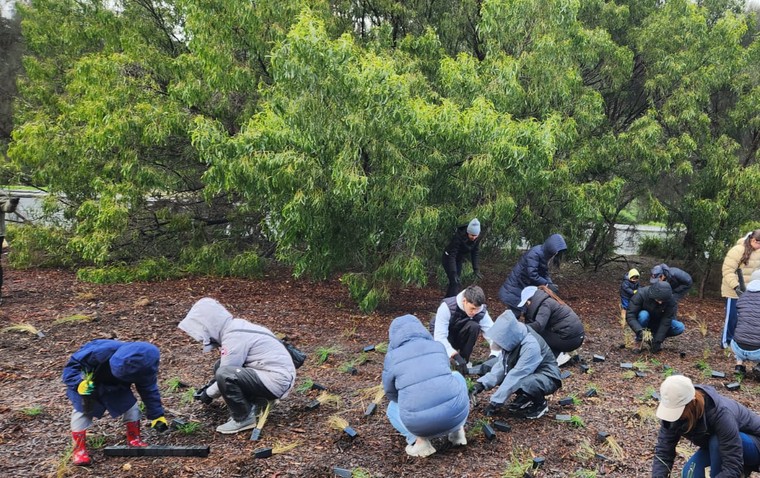 Australia National Tree Day Vic Group in Action