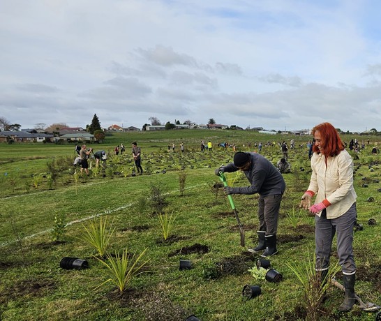 New Zealand Arbor Day June 2024 3