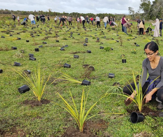 New Zealand Arbor Day June 2024 5