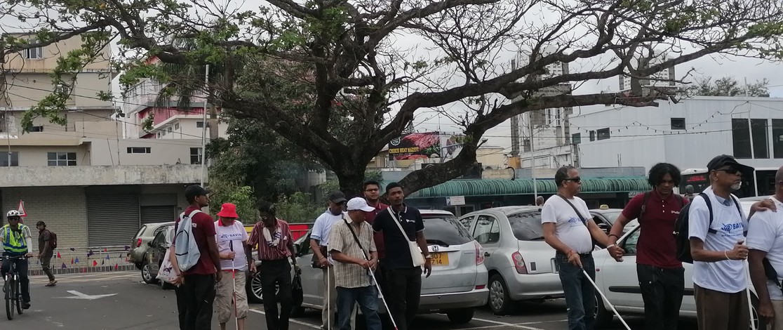 Mauritius White Cane 01