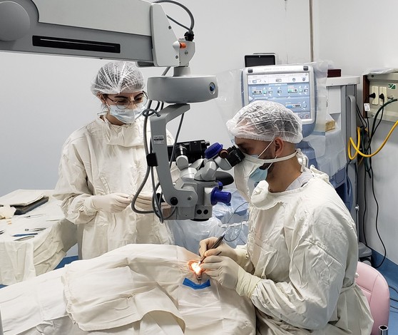 Paraguay Cataract 02