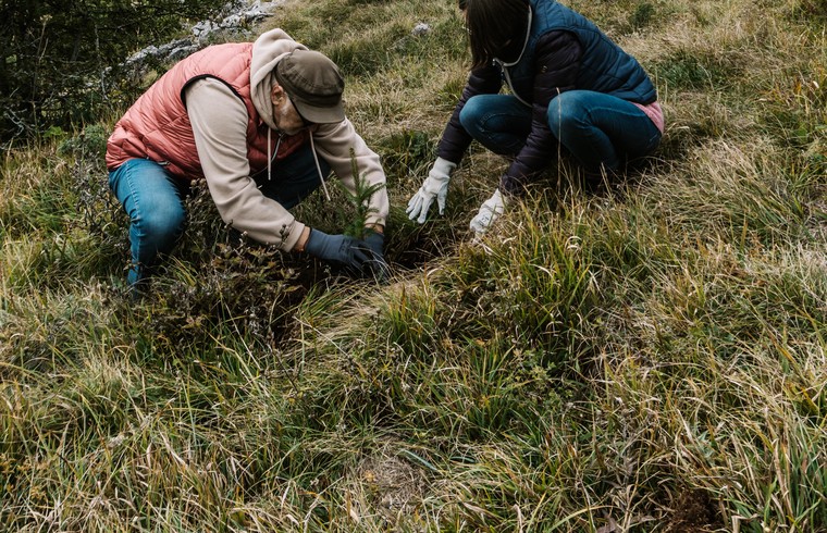 Bosnia Herzegovina Tree Planting 01