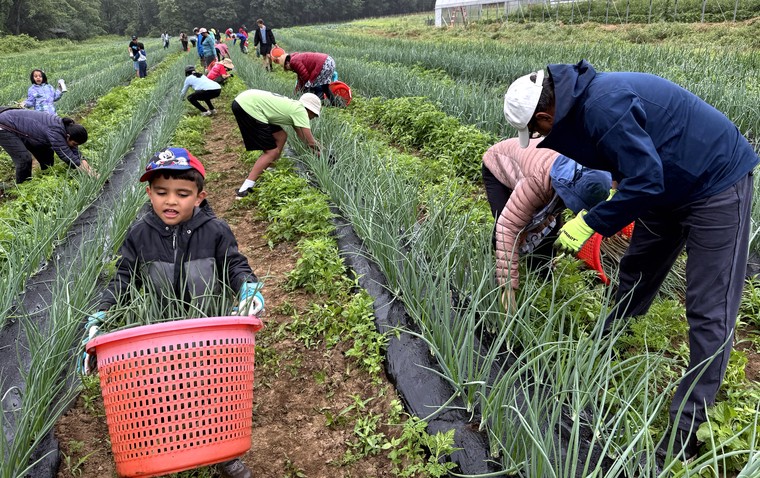 Usa Community Harvest Service 01