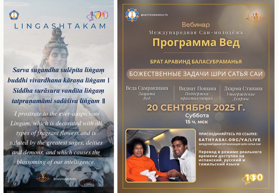 Media Team Collage 01