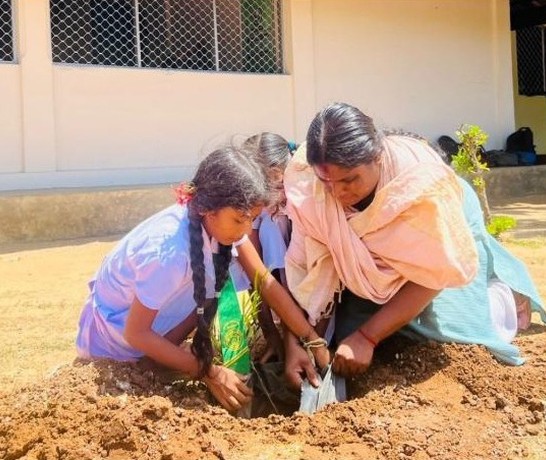 Sri Lanka 20