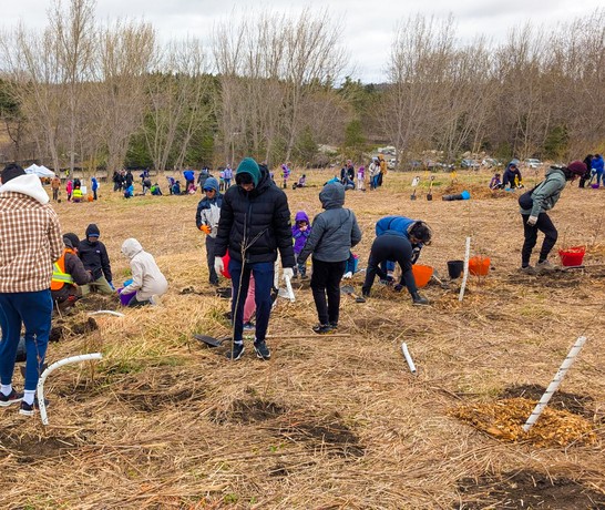Canada Tree Planting 01