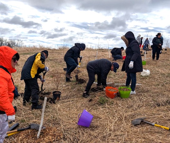 Canada Tree Planting 02