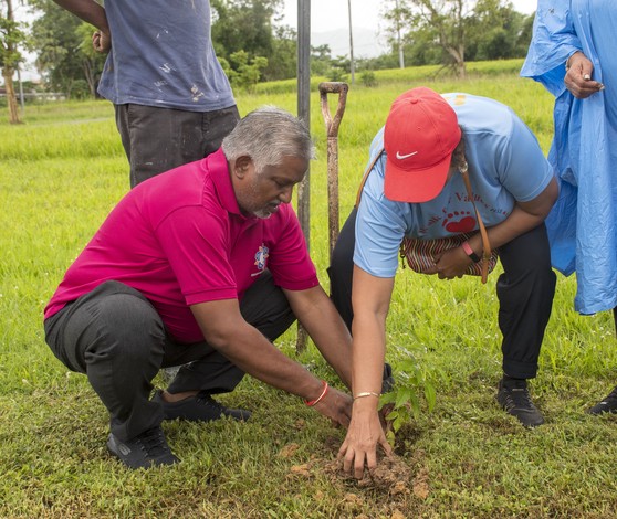 Trinidad Tree Planting 01