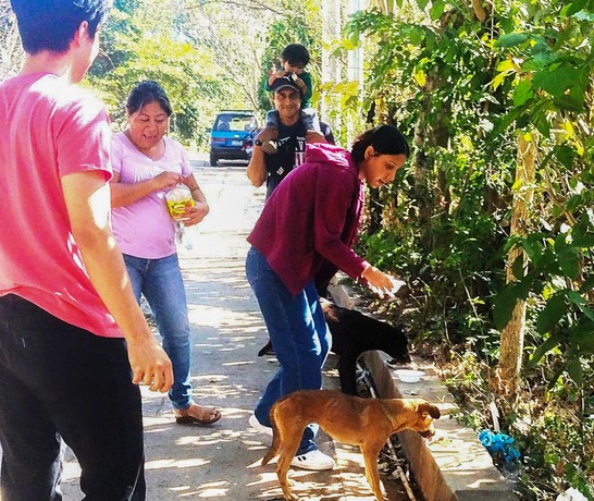 El Salvador Animal Care 01