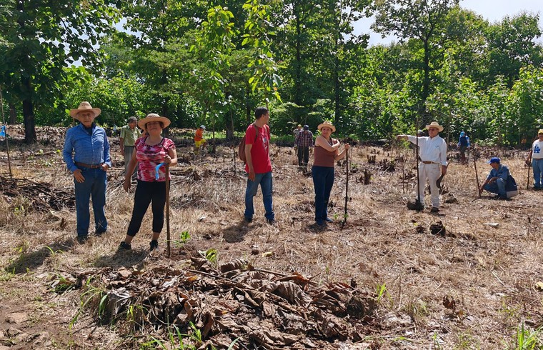El Salvador Tree Planting 01