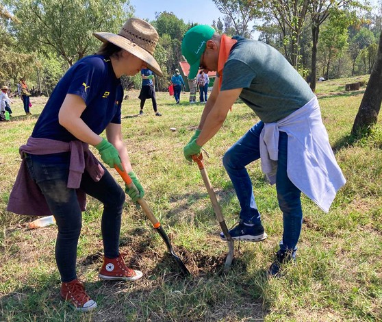 Mexico Reforestation 02