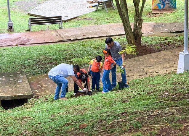 Panama Tree Planting 01