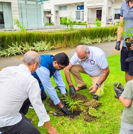 Panama Tree Planting 02