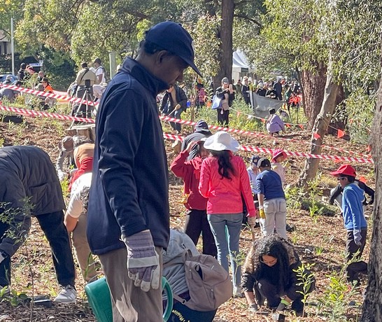 Australia 06 National Tree Day Watering Saplings