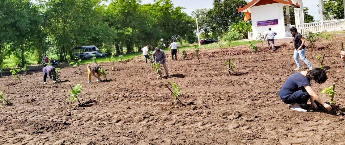 Thailand Tree Planting 3