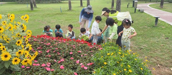 China Ehv Earth 5
