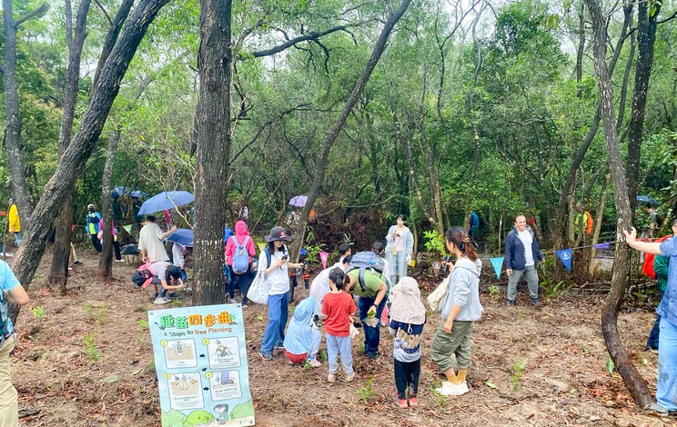 Hong Kong Tree Planting 2025 1
