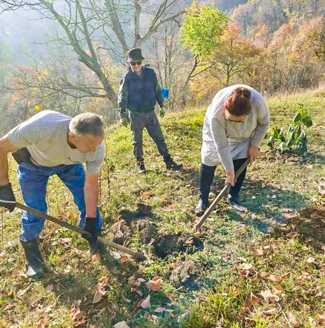 Bosnia Tree Planting 01