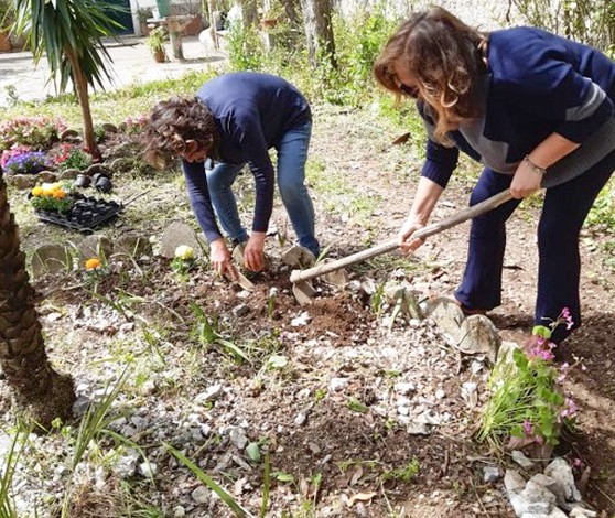 Italy Envirocare 02