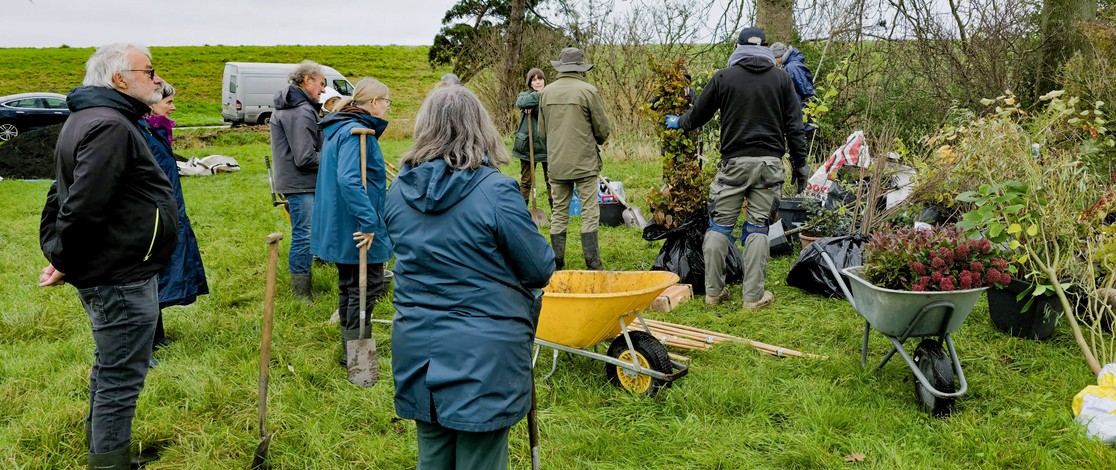 Netherlands Tree Planting 01