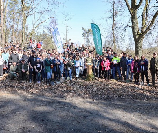 Poland Tree Planting 01