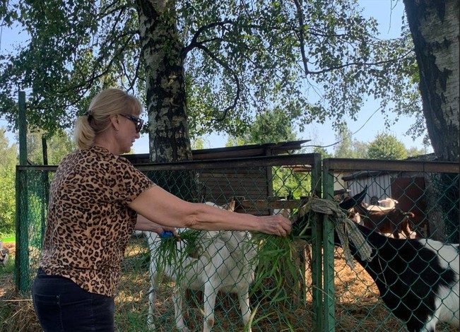 Zonewide Animal Care 01