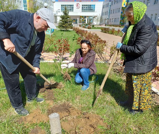 Zonewide Tree Planting 01