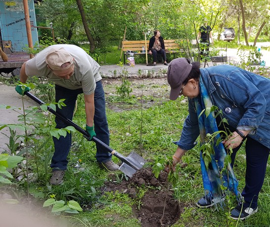 Zonewide Tree Planting 02