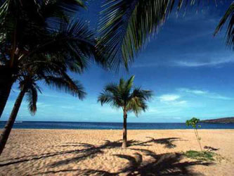 beach3