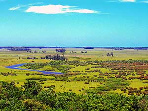 Sai Uruguay