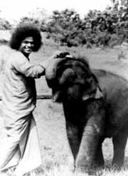 Swami